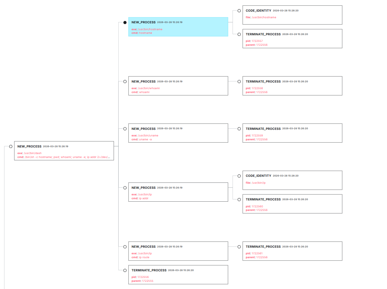 LimaCharlie process tree showing the credential collector spawning hostname, whoami, uname, ip addr, ip route, and printenv recon commands